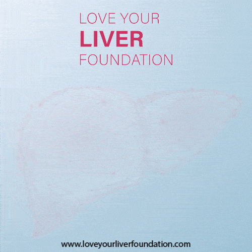 Everything About Liver: Function, Disease, Symptoms, Causes